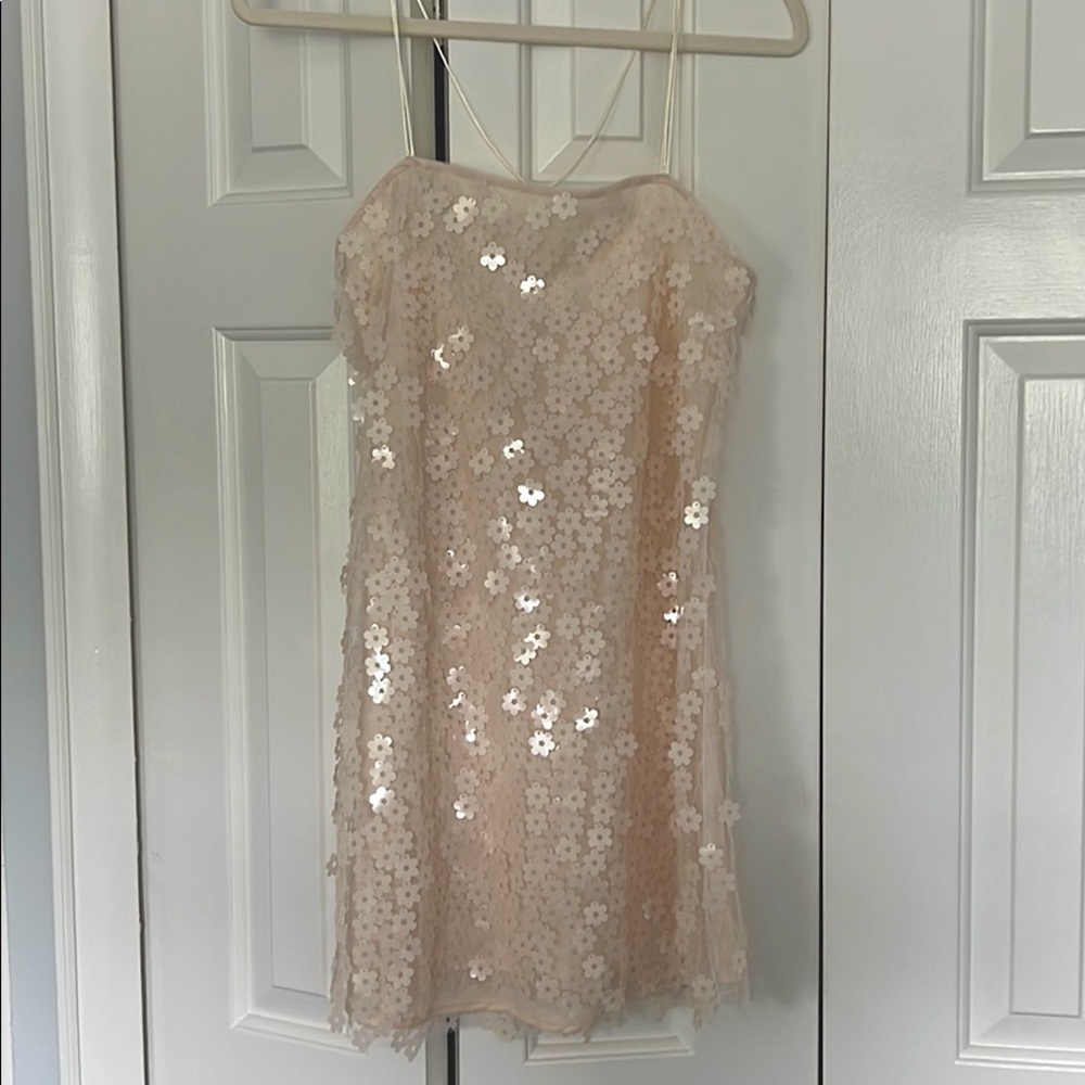 Beautiful sequin Zara Dress